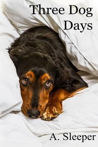 Cover image for Three Dog Days