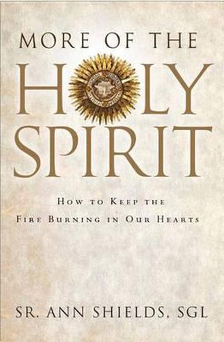 Cover image for More of the Holy Spirit: How to Keep the Fire Burning in Our Hearts