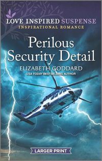Cover image for Perilous Security Detail