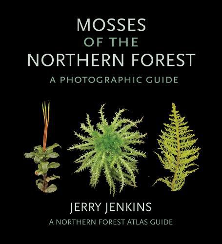 Cover image for Mosses of the Northern Forest: A Photographic Guide