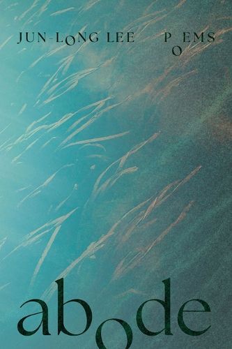 Cover image for Abode