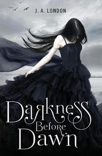 Cover image for Darkness Before Dawn