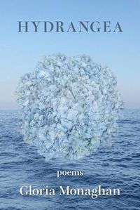 Cover image for Hydrangea