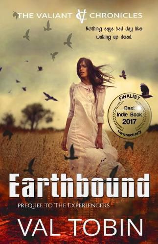 Cover image for Earthbound