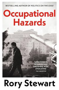 Cover image for Occupational Hazards