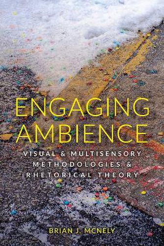 Cover image for Engaging Ambience