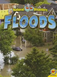 Cover image for Floods