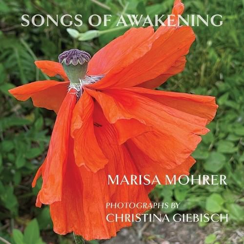 Cover image for Songs of Awakening