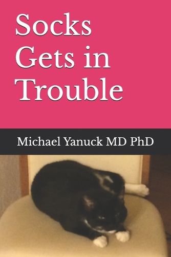 Cover image for Socks Gets in Trouble