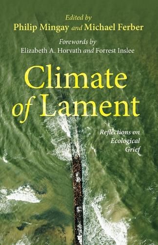 Cover image for Climate of Lament