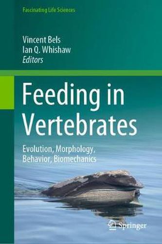 Cover image for Feeding in Vertebrates: Evolution, Morphology, Behavior, Biomechanics