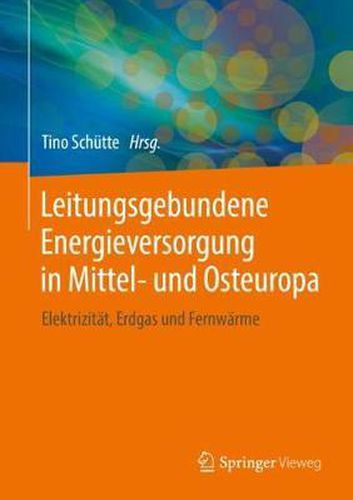 Cover image for Leitungsgebundene Energieversorgung in Mittel- Und Osteuropa: Elektrizitat, Erdgas Und Fernwarme