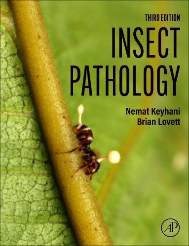 Insect Pathology