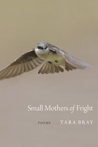 Cover image for Small Mothers of Fright: Poems