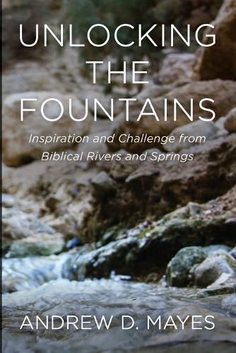 Cover image for Unlocking the Fountains