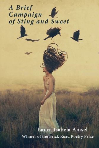 Cover image for A Brief Campaign of Sting and Sweet