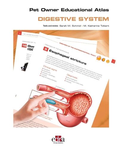 Cover image for Pet Owner Educational Atlas Digesti / Digestive System