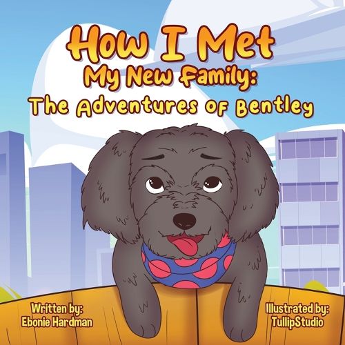 Cover image for How I Met My New Family