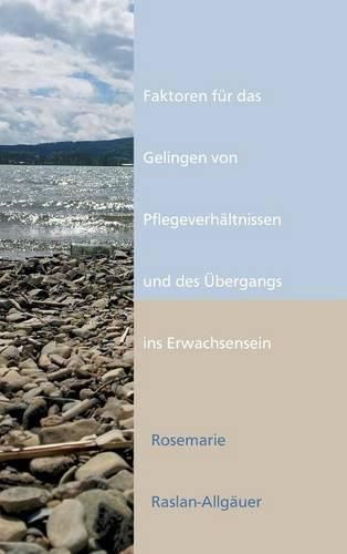 Cover image for Faktoren fur das Gelingen von Pflegeverhaltnissen und des UEbergangs ins Erwachsensein