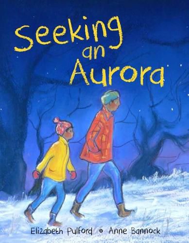 Cover image for Seeking an Aurora