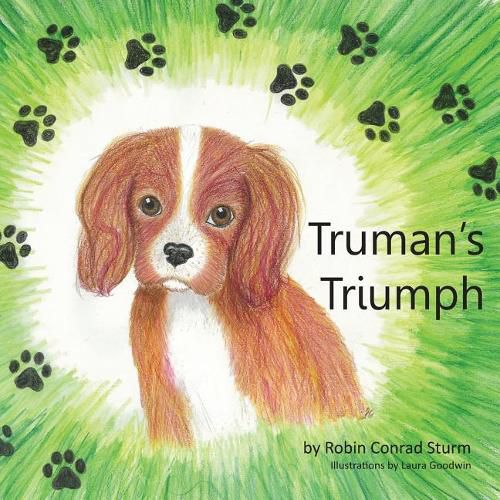 Cover image for Truman's Triumph