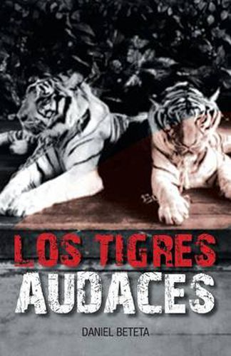 Cover image for Los Tigres Audaces