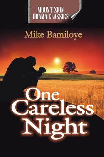 Cover image for One Careless Night