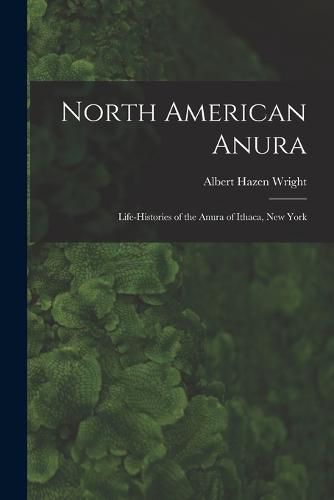 Cover image for North American Anura