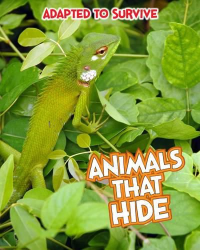 Adapted to Survive: Animals that Hide