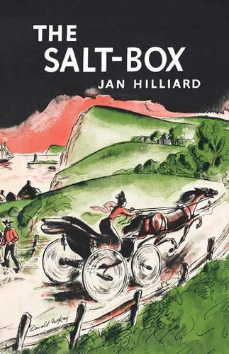 Cover image for The Salt-Box