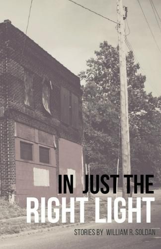 Cover image for In Just the Right Light