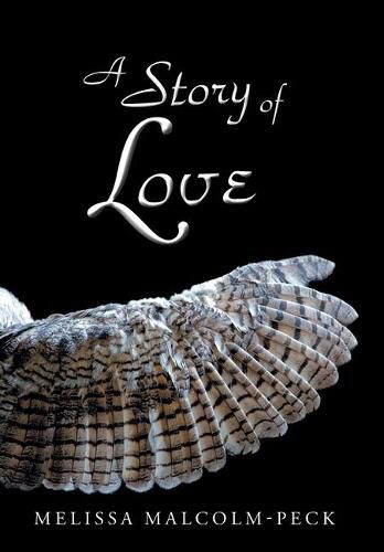 Cover image for A Story of Love