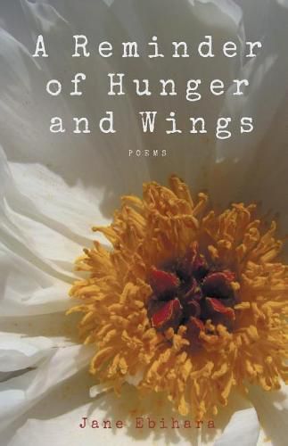 Cover image for A Reminder of Hunger and Wings