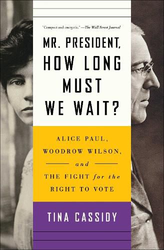 Cover image for Mr. President, How Long Must We Wait?: Alice Paul, Woodrow Wilson, and the Fight for the Right to Vote