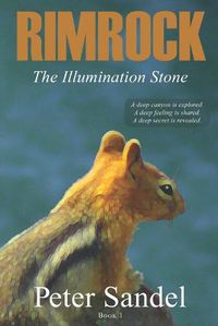 Cover image for The Illumination Stone