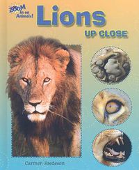 Cover image for Lions Up Close