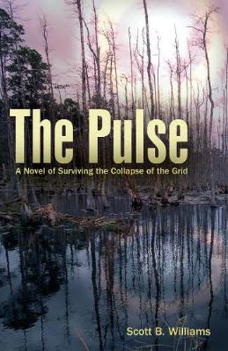 Cover image for The Pulse: A Novel of Surviving the Collapse of the Grid