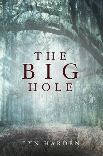 Cover image for The Big Hole