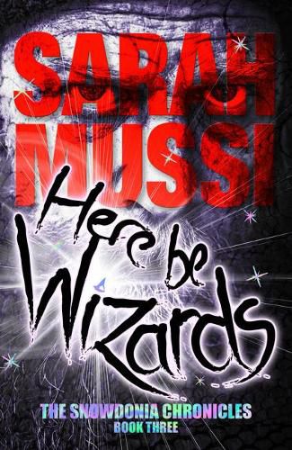 Cover image for Here be Wizards: The Snowdonia Chronicles: Book Three