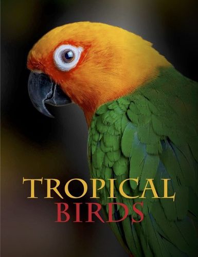 Cover image for Tropical Birds
