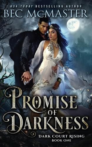 Cover image for Promise of Darkness