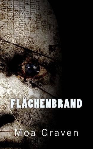 Cover image for Flaechenbrand