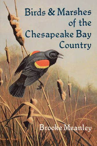 Cover image for Birds and Marshes of the Chesapeake Bay Country