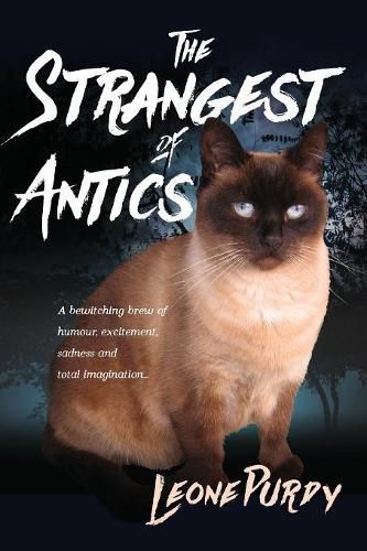 Cover image for The Strangest of Antics: A Bewitching Brew of Humour, Excitement, Sadness and Total Imagination