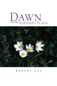 Cover image for Dawn on the Northern Plains