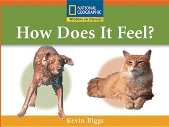 Cover image for Windows on Literacy Step Up (Science: Take a Look): How Does It Feel?