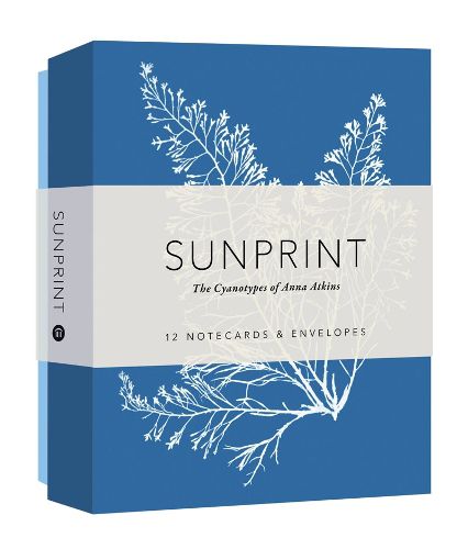 Cover image for Sunprint Notecards: The Cyanotypes of Anna Atkins