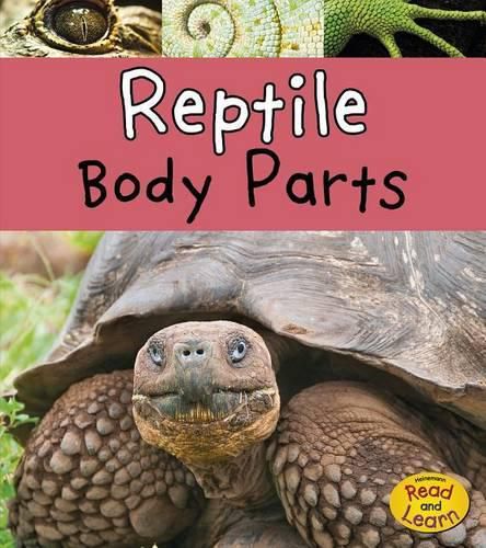 Cover image for Reptile Body Parts (Animal Body Parts)