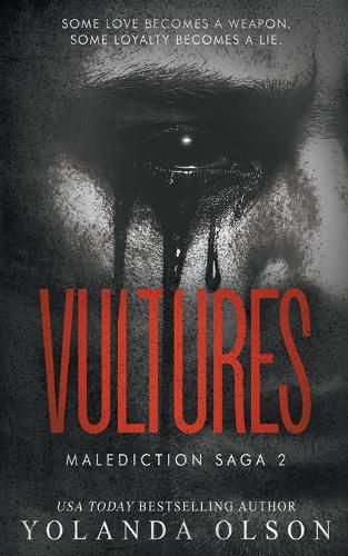 Cover image for Vultures