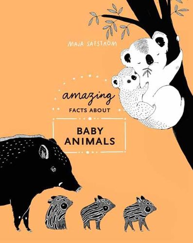 Cover image for Amazing Facts About Baby Animals: An Illustrated Compendium
